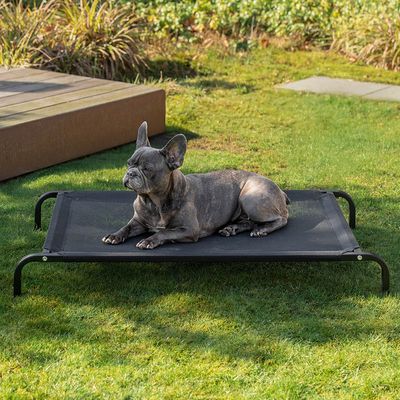 lionto erhöhtes Hundebett für außen aus atmungsaktivem Gewebe
