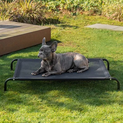 lionto lit pour chien extérieur surélevé en tissu respirant robuste lionto lit pour chien extérieur surélevé en tissu respirant robuste