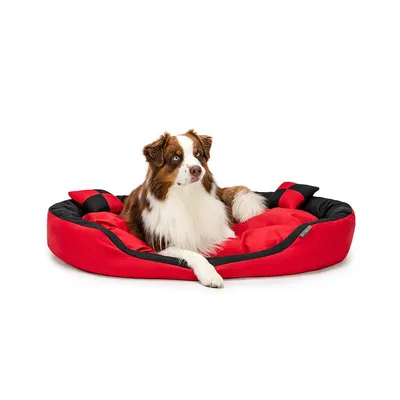 lionto panier pour chien 4-en-1 avec coussin réversible en tissu Oxford lionto panier pour chien 4-en-1 avec coussin réversible en tissu Oxford