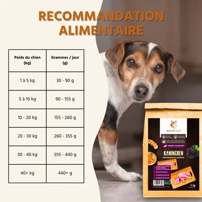 Wildfang® Croquettes pour adultes au lapin - sans céréales