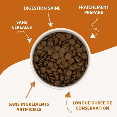 Wildfang® Croquettes pour adultes au lapin - sans céréales
