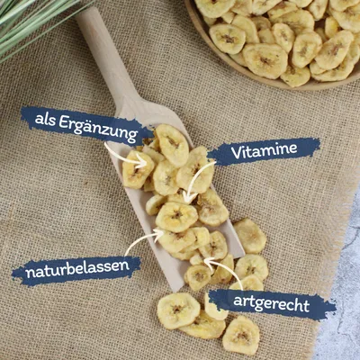 Lyra Pet® bananes