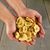 Lyra Pet® bananes