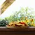 Lyra Pet® Mélange de fruits et légumes séchés