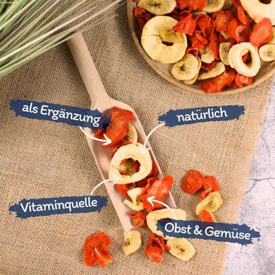 Lyra Pet® Obst-Gemüse-Mix getrocknet