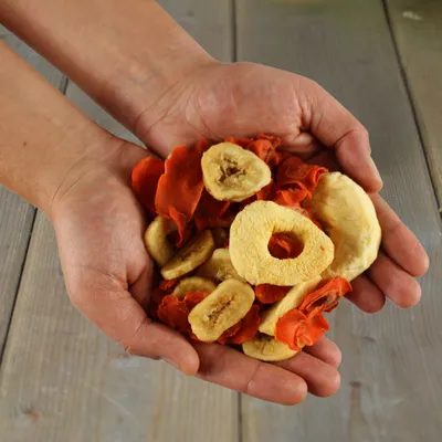 Lyra Pet® Obst-Gemüse-Mix getrocknet