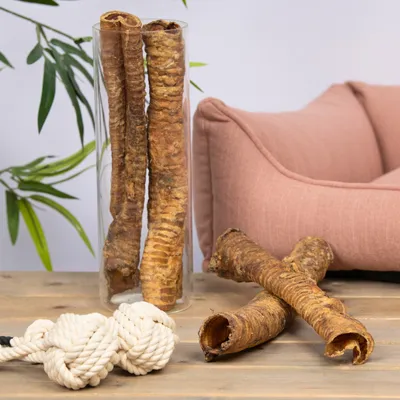 Lyra Pet® Pousses de bœuf grands