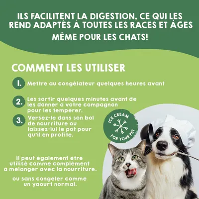 MAIKAI Lot 4 Pots Glace pour Chien et Chat - Prêt à Consommer