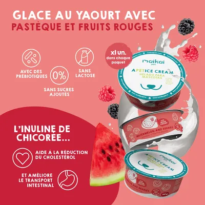 MAIKAI Lot 4 Pots Glace pour Chien et Chat - Prêt à Consommer