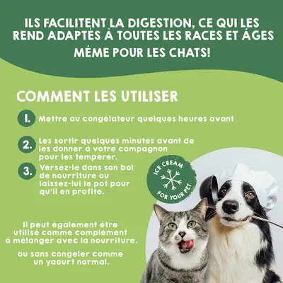 MAIKAI Lot 4 Pots Glace pour Chien et Chat - Prêt à Consommer
