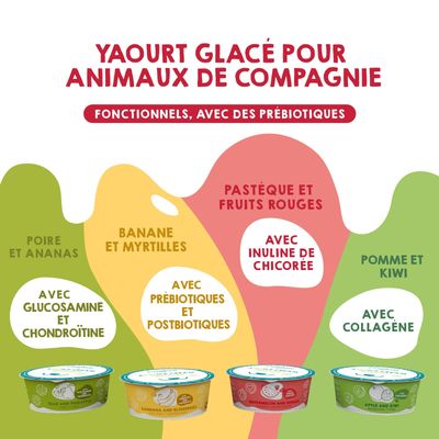 MAIKAI Lot 4 Pots Glace pour Chien et Chat - Prêt à Consommer