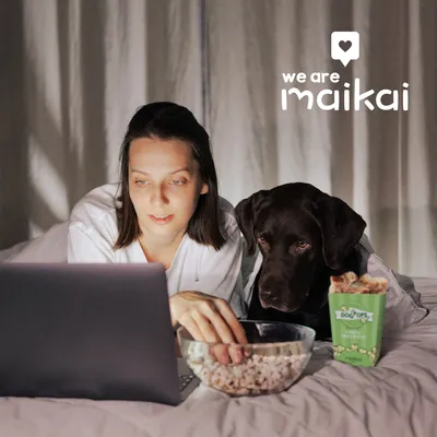 MAIKAI Popcorn de fromage de l’Himalaya – Snack naturel pour chiens