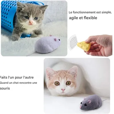 IntiMeg Jouets pour chat et souris