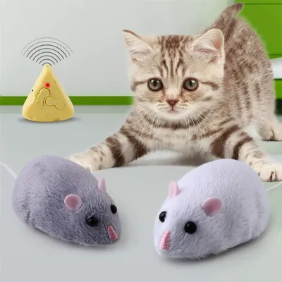 IntiMeg Jouets pour chat et souris