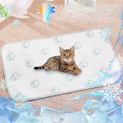 IntiMeg Tapis rafraîchissant pour chat