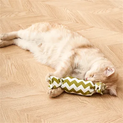 IntiMeg Coussin pour chat avec herbe à chat
