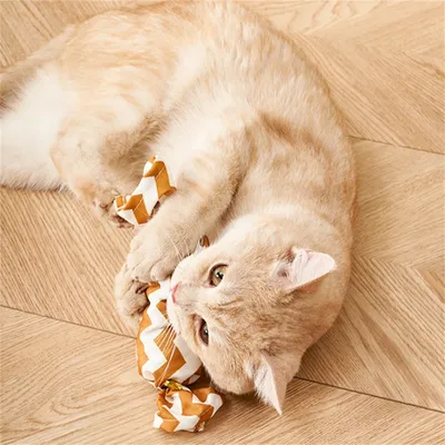 IntiMeg Coussin pour chat avec herbe à chat