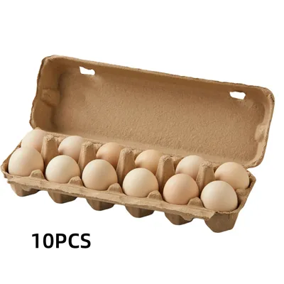 IntiMeg Lot de 10 Porte-œufs en carton pour 12 œufs gris