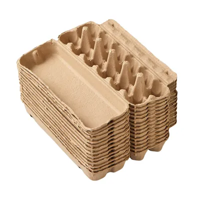 IntiMeg Lot de 10 Porte-œufs en carton pour 12 œufs gris