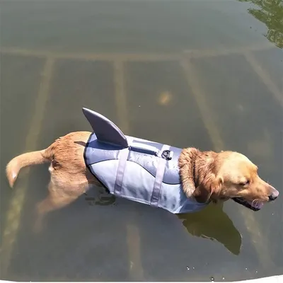 IntiMeg Rettungsweste für Hunde IntiMeg Rettungsweste für Hunde