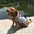 IntiMeg Rettungsweste für Hunde IntiMeg Rettungsweste für Hunde