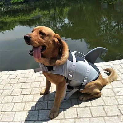 IntiMeg Rettungsweste für Hunde IntiMeg Rettungsweste für Hunde