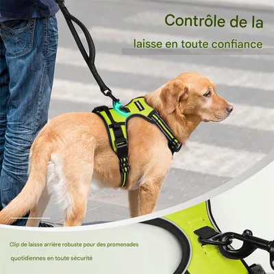 IntiMeg Harnais anti - traction pour chien