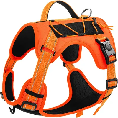 IntiMeg Harnais Power Dog