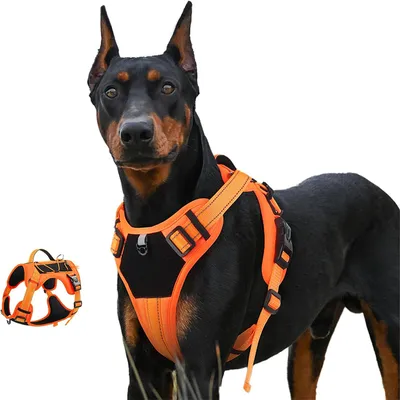 IntiMeg Harnais Power Dog IntiMeg Harnais Power Dog