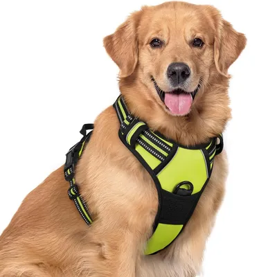 IntiMeg Harnais anti - traction pour chien