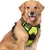 IntiMeg Harnais anti - traction pour chien