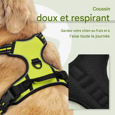 IntiMeg Harnais anti - traction pour chien