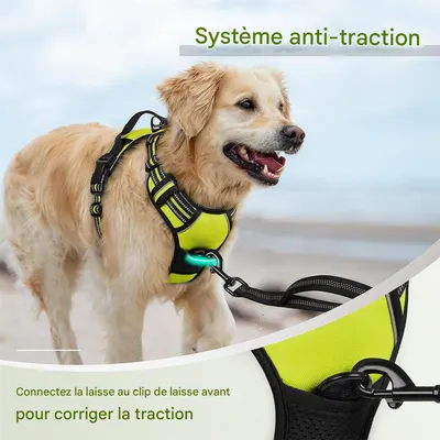 IntiMeg Harnais anti - traction pour chien