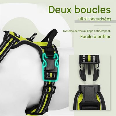 IntiMeg Harnais anti - traction pour chien