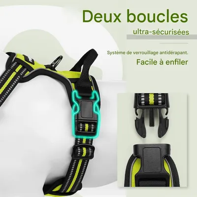 IntiMeg Harnais anti - traction pour chien