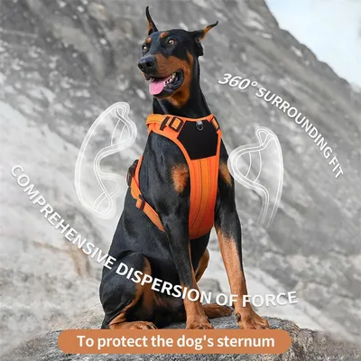 IntiMeg Harnais Power Dog