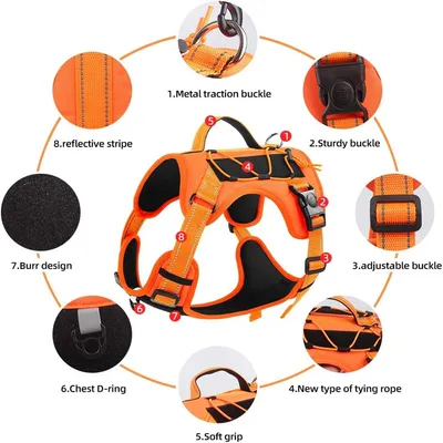 IntiMeg Harnais Power Dog