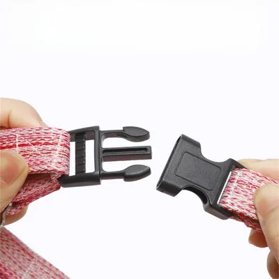 IntiMeg Harnais et laisse pour chien ajustables