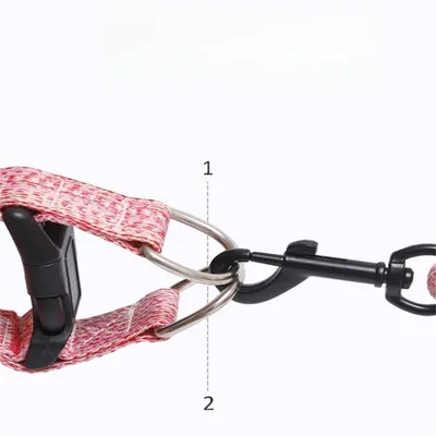 IntiMeg Harnais et laisse pour chien ajustables