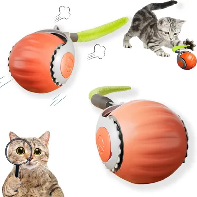 PurrfectFun Boule Interactive pour Chat - Roulement Automatique