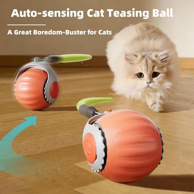 Boule Interactive pour Chat - Roulement Automatique