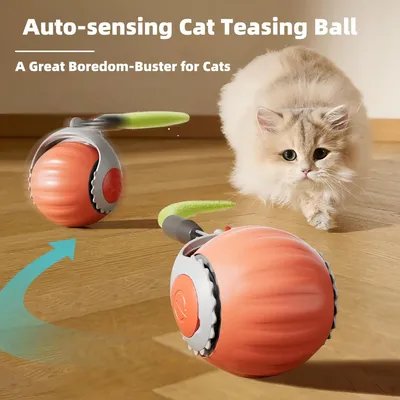 Boule Interactive pour Chat - Roulement Automatique