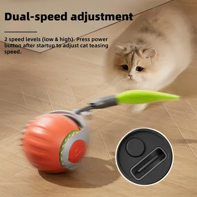 Boule Interactive pour Chat - Roulement Automatique