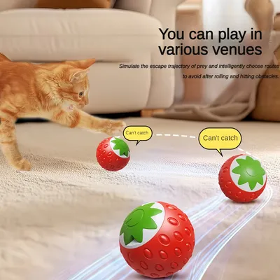 Jouets pour Chat Intérieur - Balle Mobile Automatique et Fraise