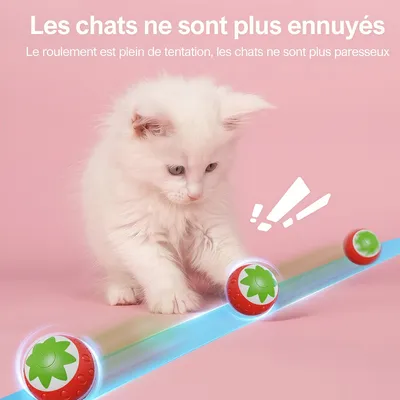 Jouets pour Chat Intérieur - Balle Mobile Automatique et Fraise
