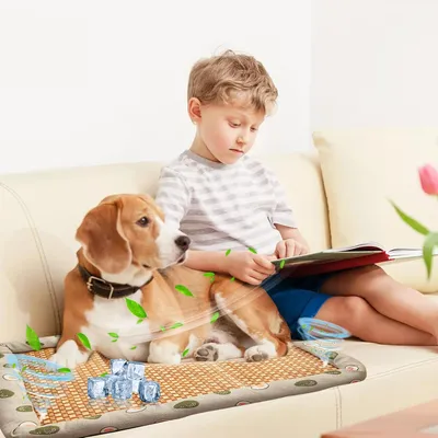 UAMLY Naturel Tapis Rafraichissant Chien Chat