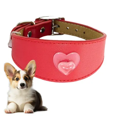 IntiMeg Collier pour chien en cuir IntiMeg Collier pour chien en cuir