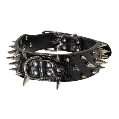 IntiMeg Collier pour chien en cuir IntiMeg Collier pour chien en cuir