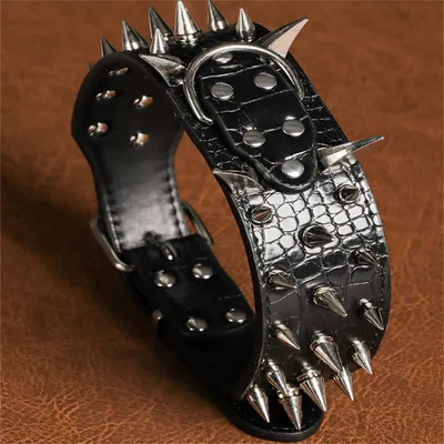 IntiMeg Collier pour chien en cuir