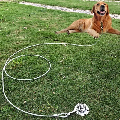 IntiMeg Poste de anclaje giratorio de 360° para perros